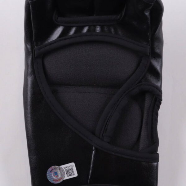 demetrious johnson ufc