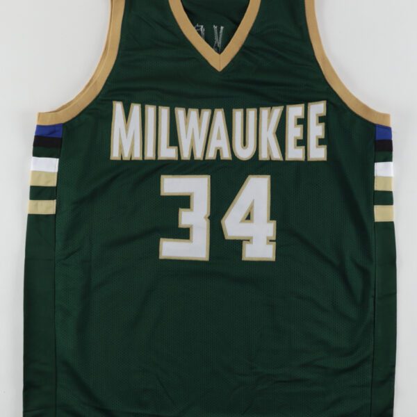 giannis signed jersey